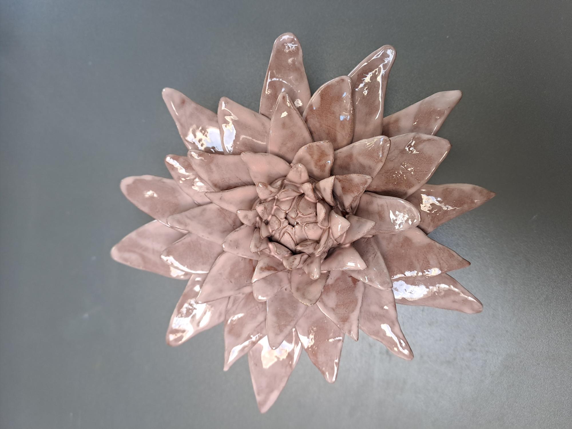 Roze bloem